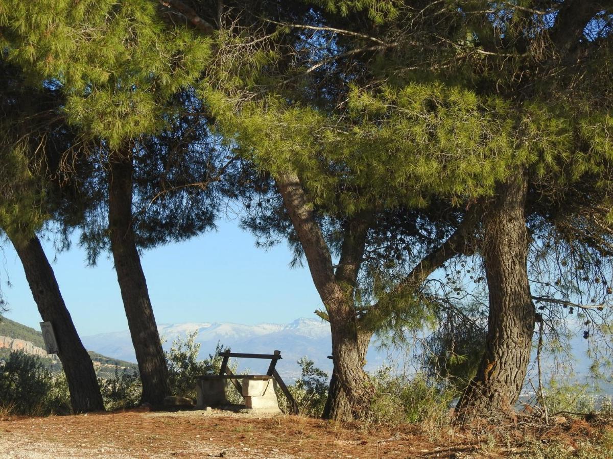 Cortijo La Fe Guest House มอนเตฟริโอ ภายนอก รูปภาพ