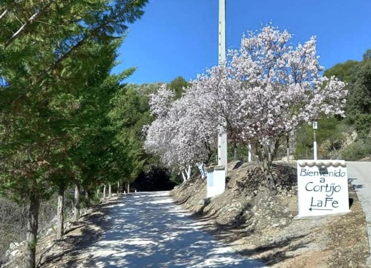 Cortijo La Fe Guest House มอนเตฟริโอ ภายนอก รูปภาพ