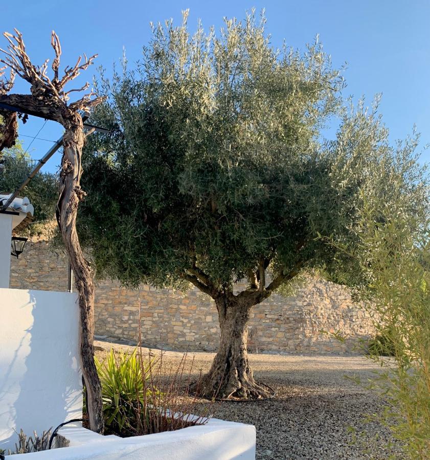 Cortijo La Fe Guest House มอนเตฟริโอ ภายนอก รูปภาพ