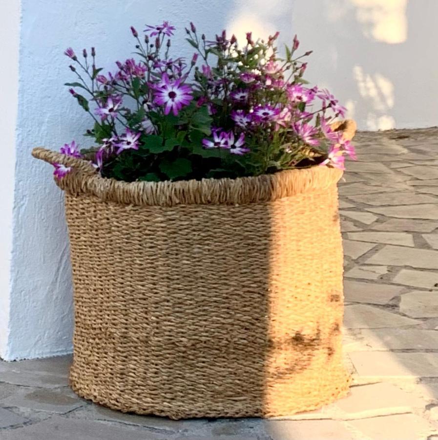 Cortijo La Fe Guest House มอนเตฟริโอ ภายนอก รูปภาพ