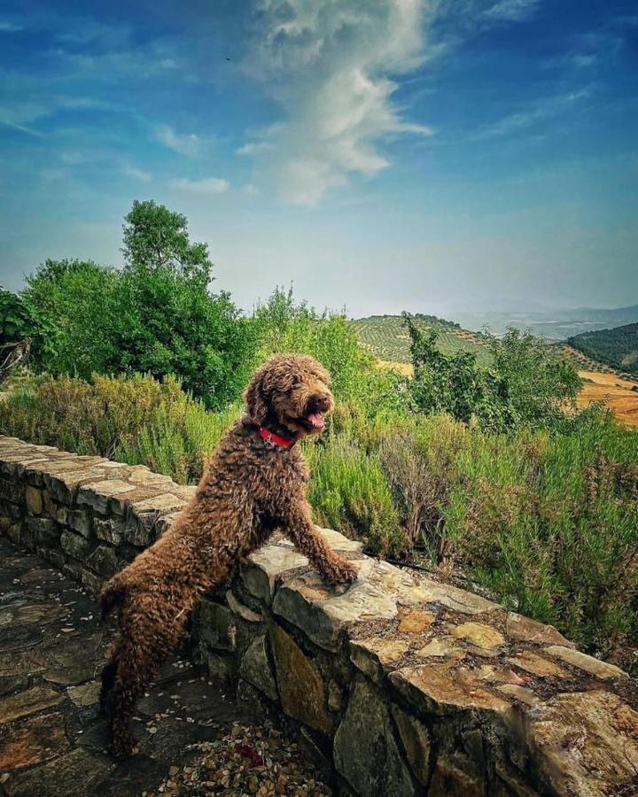 Cortijo La Fe Guest House มอนเตฟริโอ ภายนอก รูปภาพ