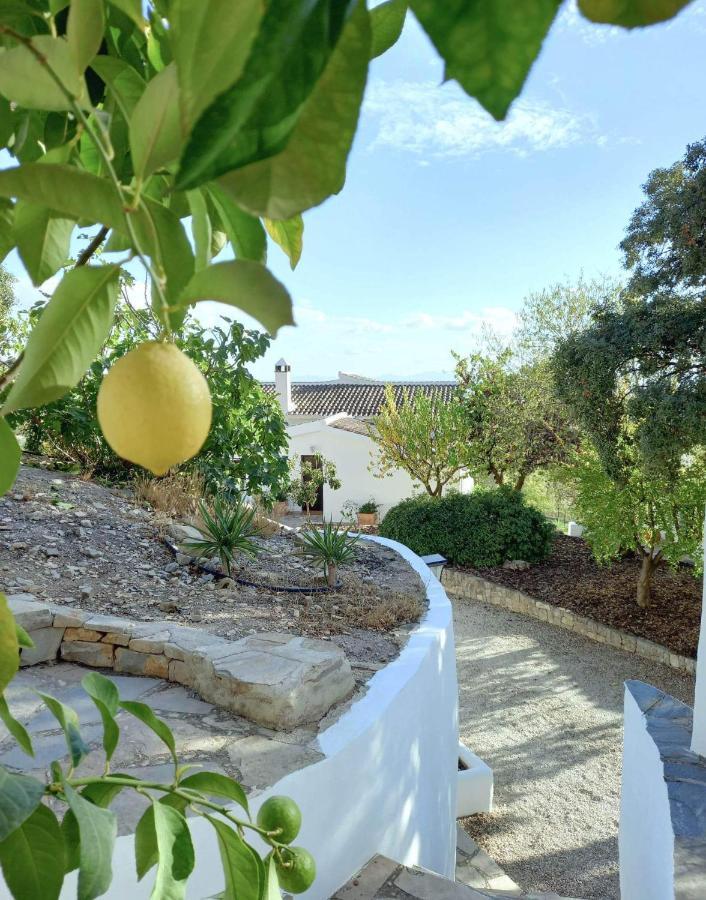 Cortijo La Fe Guest House มอนเตฟริโอ ภายนอก รูปภาพ