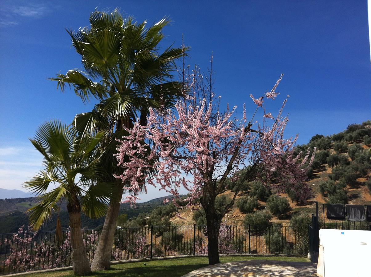 Cortijo La Fe Guest House มอนเตฟริโอ ภายนอก รูปภาพ
