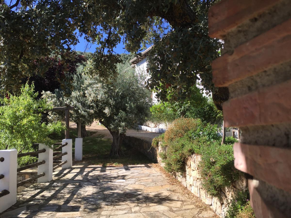 Cortijo La Fe Guest House มอนเตฟริโอ ภายนอก รูปภาพ