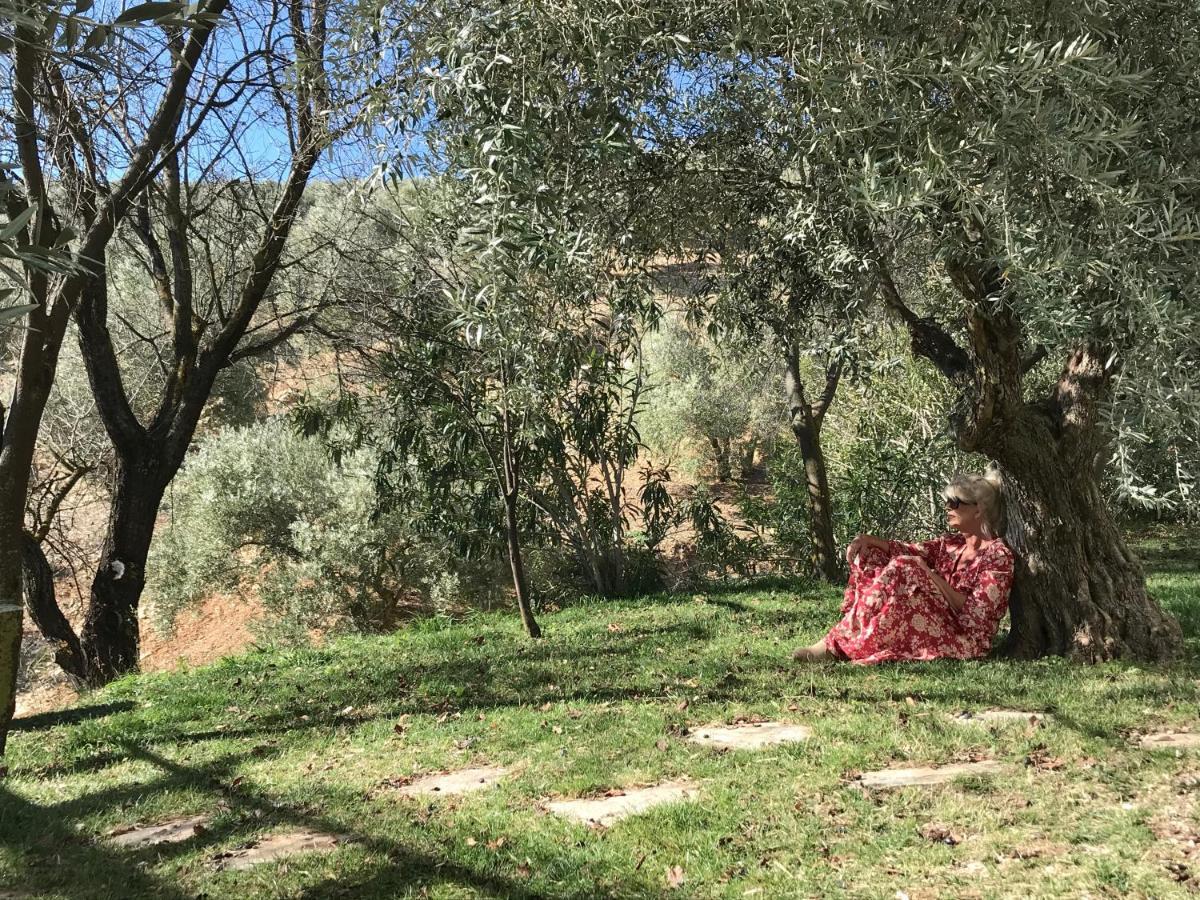 Cortijo La Fe Guest House มอนเตฟริโอ ภายนอก รูปภาพ